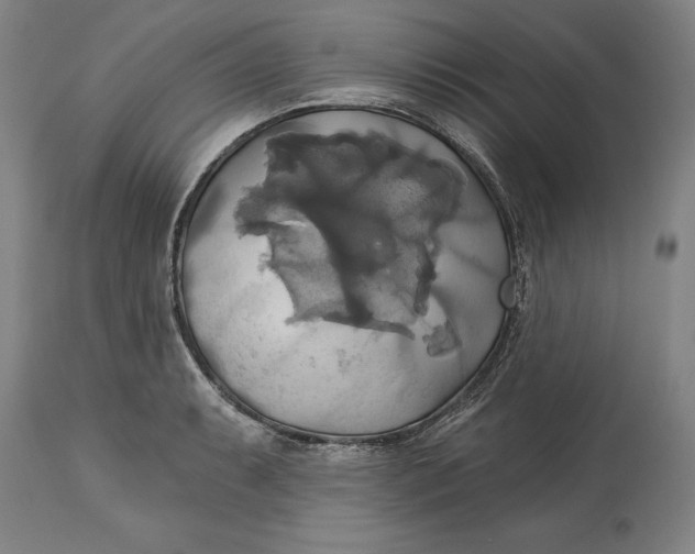X0000115091087200911171212