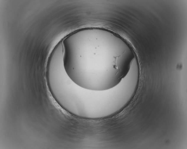 X0000115091088200911171212