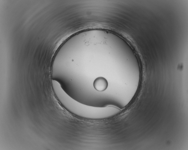 X0000115091089200911171212