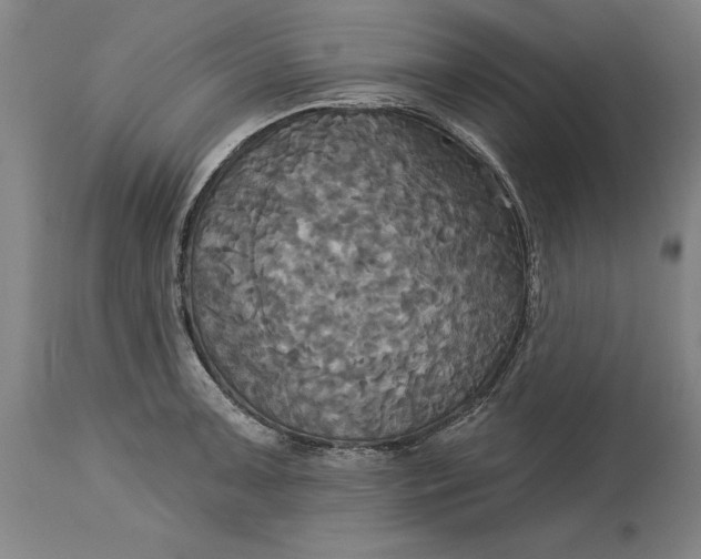 X0000115091091200911171212