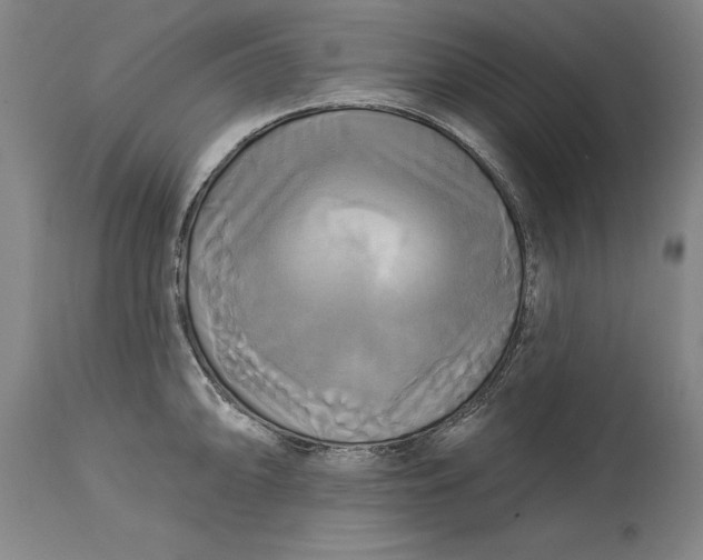 X0000115091094200911171211