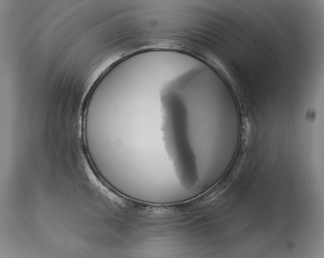 X0000115091095200911171211