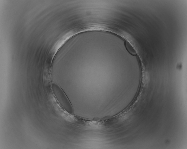X0000115091097200911171211