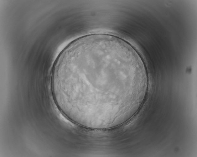 X0000115091102200911171211