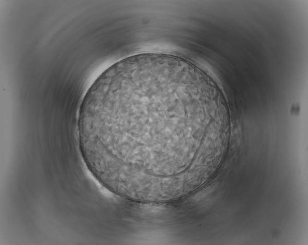 X0000115091103200911171211