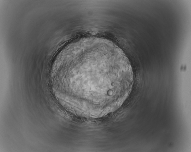 X0000115091105200911171211