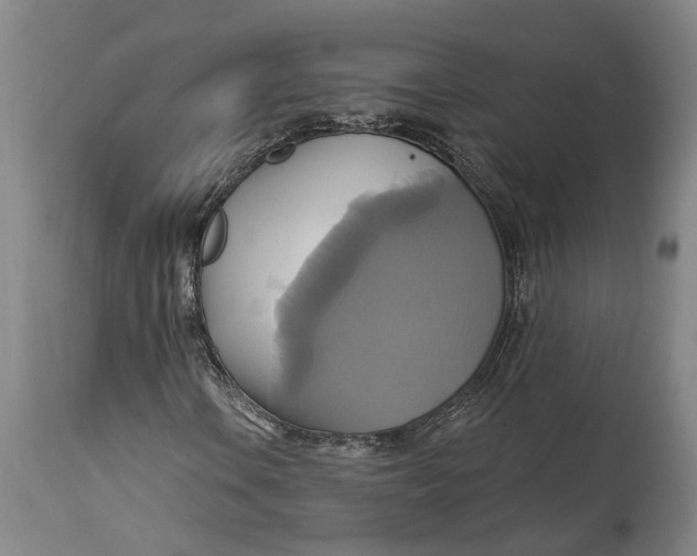 X0000115091106200911171211