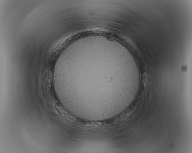 X0000115091111200911171211