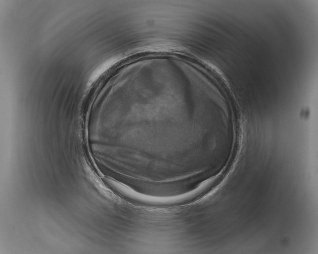 X0000115091114200911171211