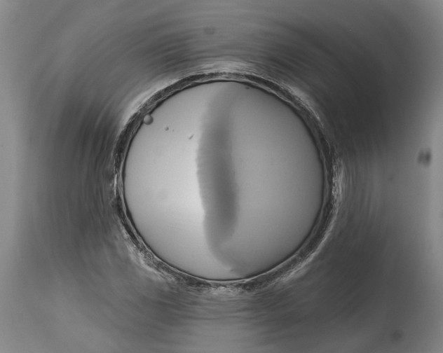 X0000115091117200911171211