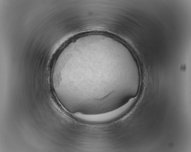 X0000115091118200911171211
