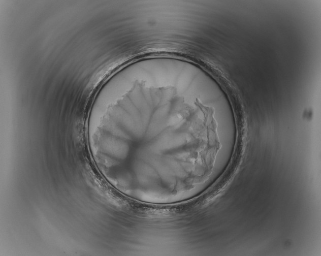X0000115091121200911171211