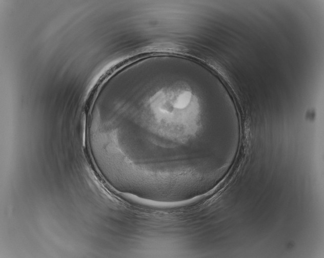X0000115091123200911171211