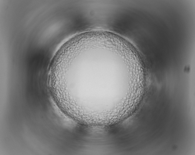 X0000115091126200911171211