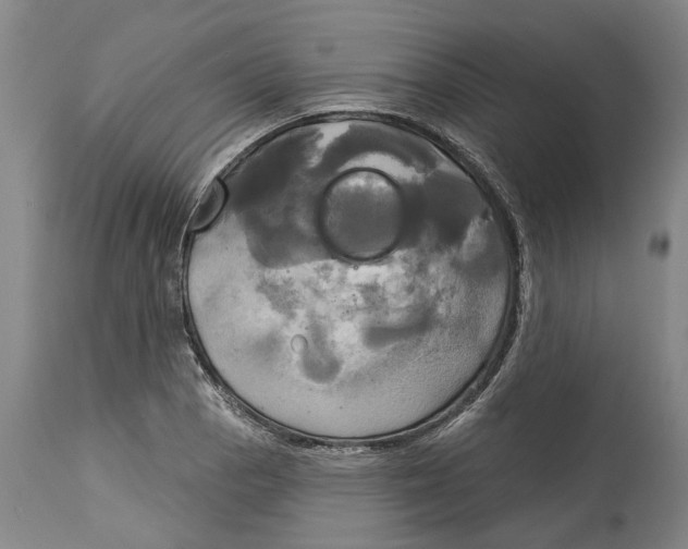 X0000115091129200911171211