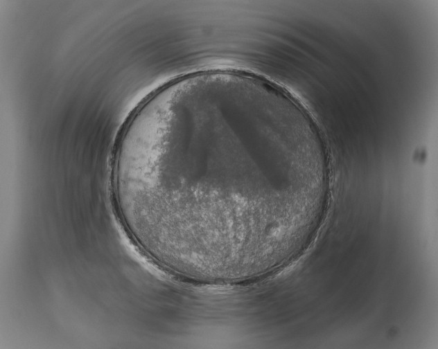X0000115091134200911171211