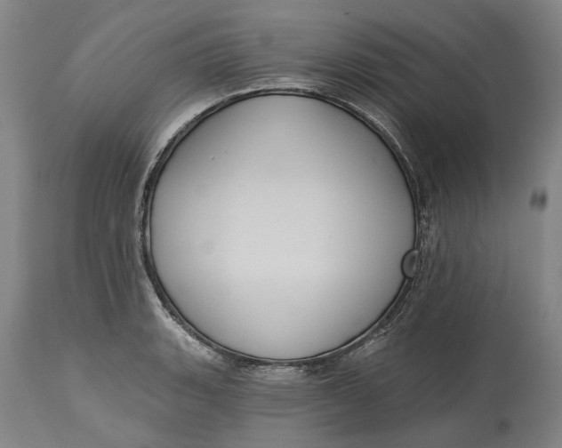 X0000115091135200911171211