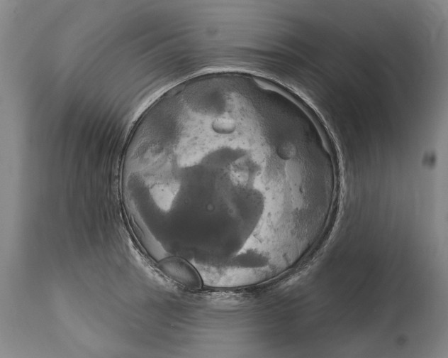 X0000115091137200911171211
