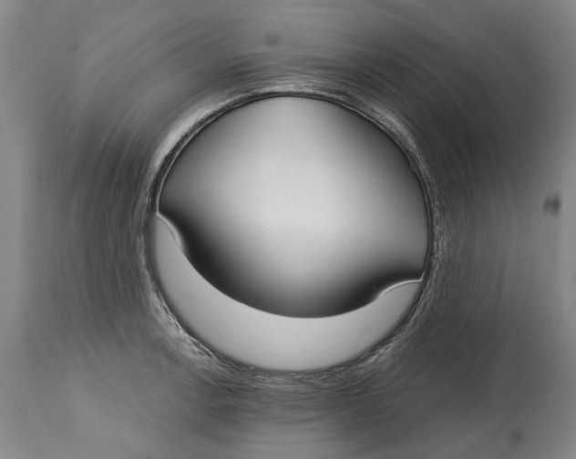 X0000115091138200911171211