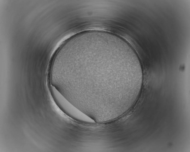 X0000115091139200911171211