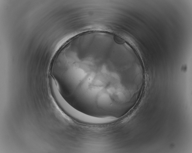 X0000115091141200911171211