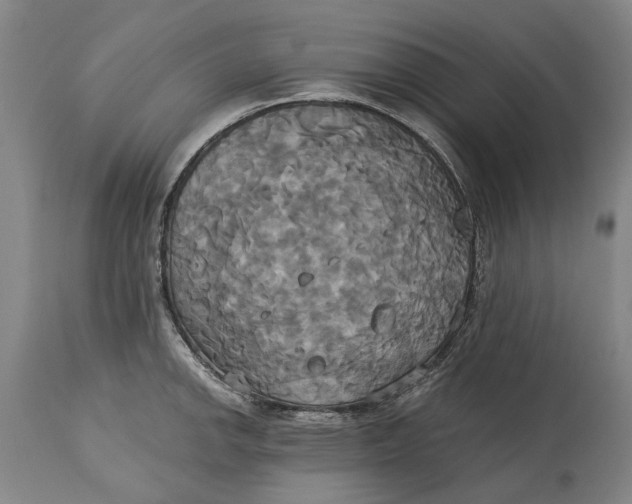 X0000115091142200911171211