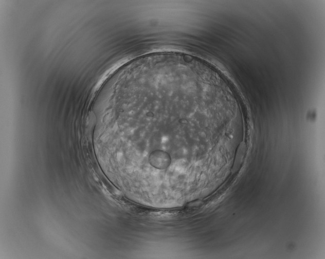 X0000115091145200911171211