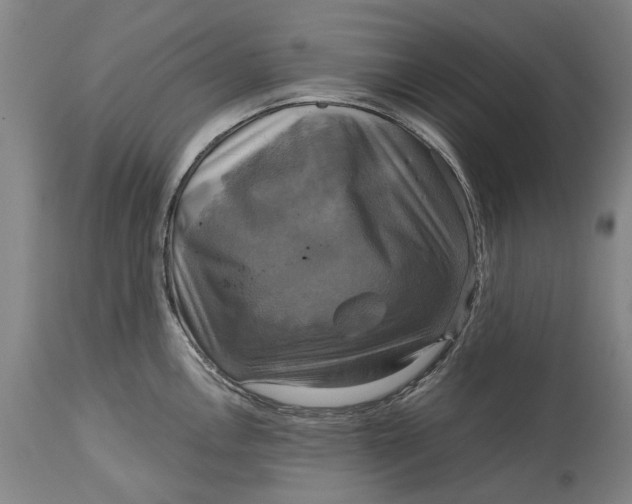 X0000115091146200911171211