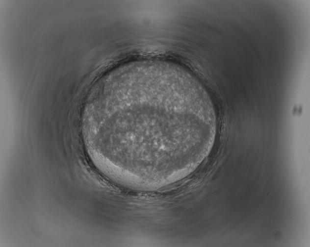X0000115091153200911171211