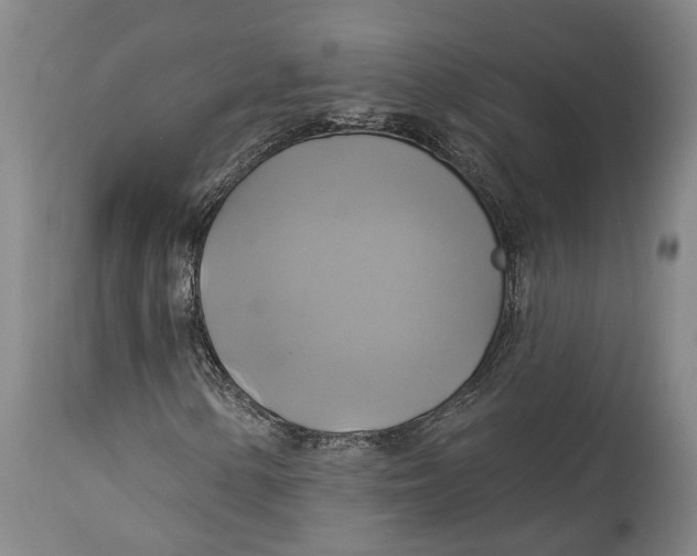 X0000115091154200911171211