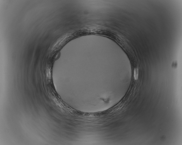 X0000115091155200911171211