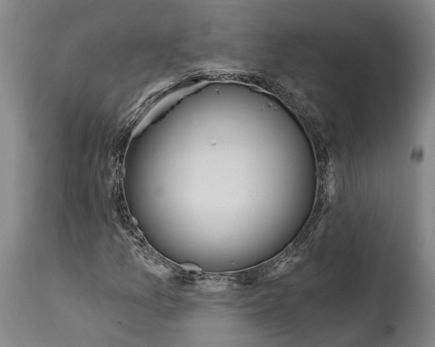 X0000115091157200911171211