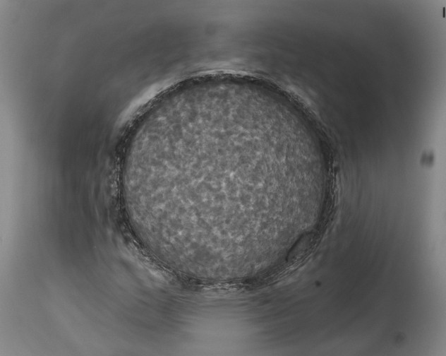 X0000115091159200911171211