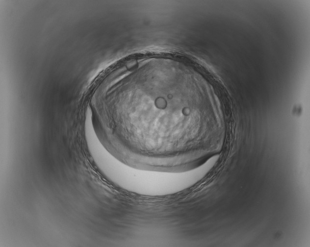 X0000115091160200911171211