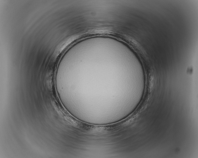 X0000115091162200911171211