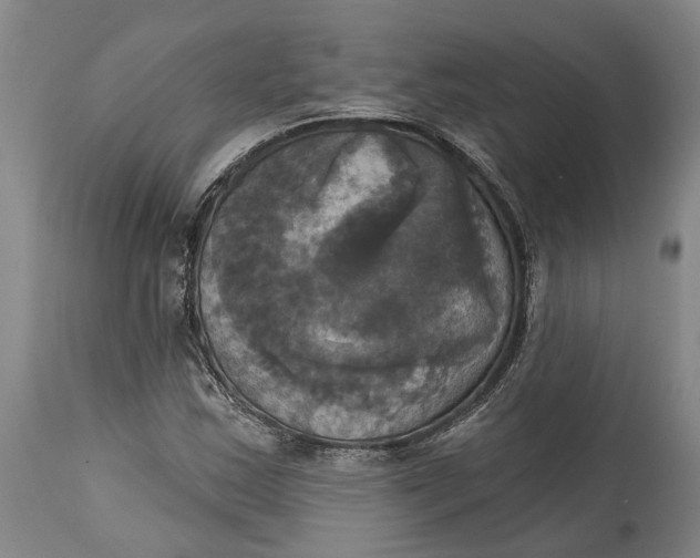 X0000115091163200911171211