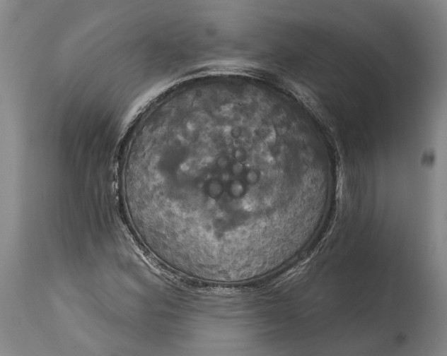X0000115091164200911171211
