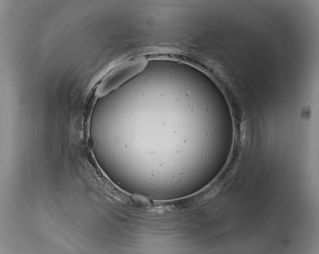 X0000115091165200911171211
