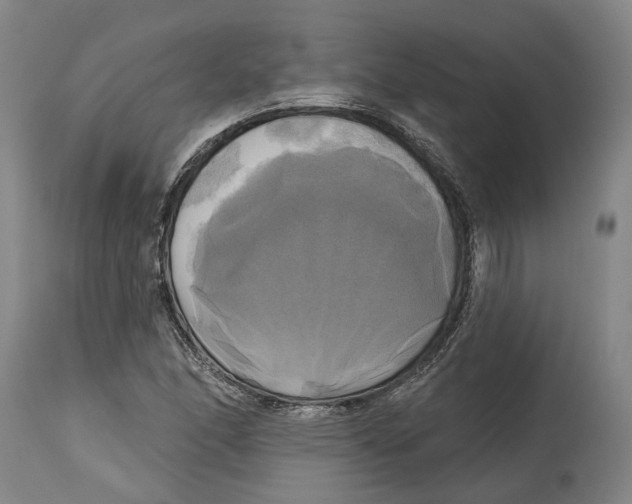 X0000115091166200911171211