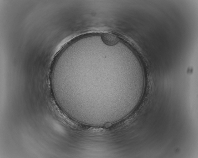 X0000115091168200911171210