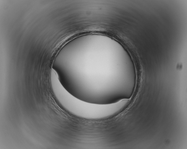 X0000115091169200911171210