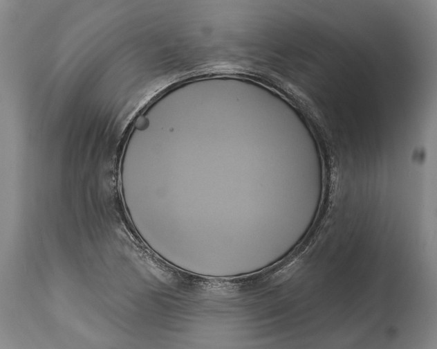 X0000115091170200911171210