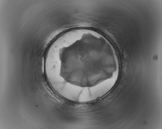 X0000115091171200911171210