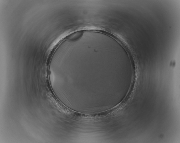 X0000115091173200911171210