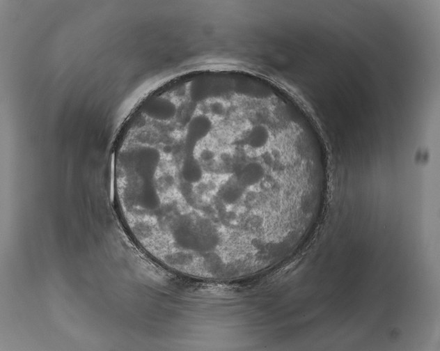X0000115091175200911171210