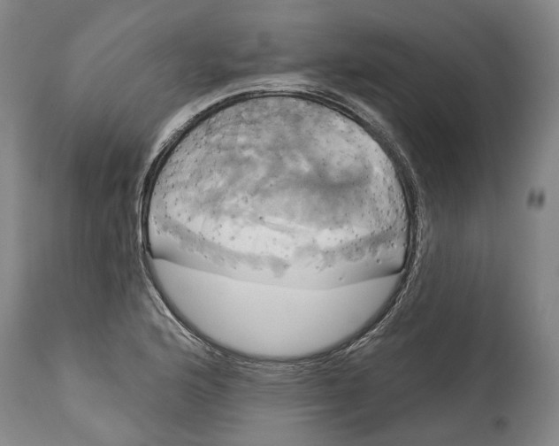 X0000115091176200911171210