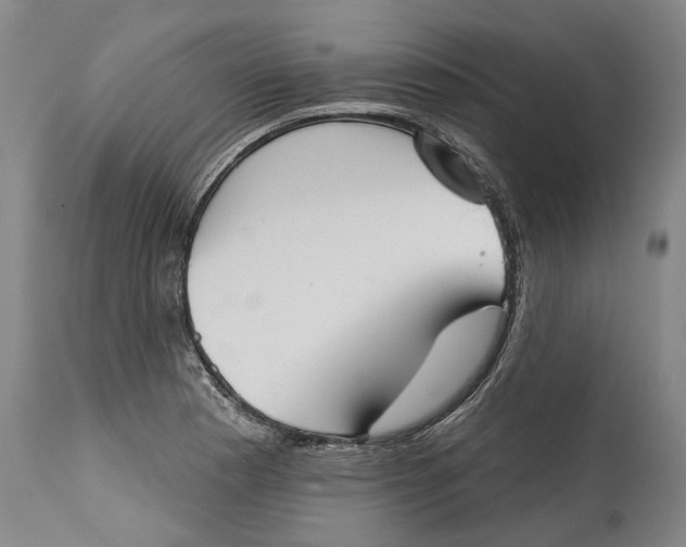 X0000115091177200911171210