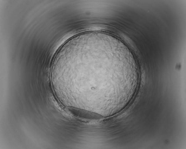 X0000115091178200911171210