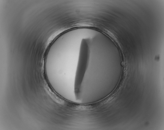 X0000115091179200911171210