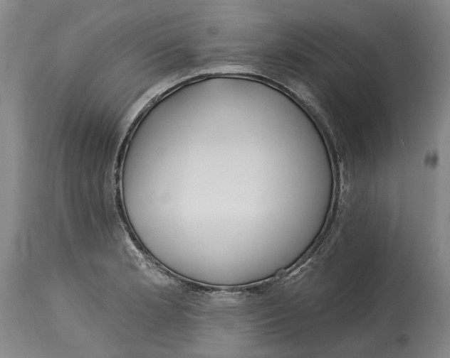 X0000115091181200911171210
